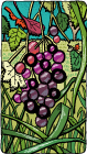 Txakoli White Wine Vinegar