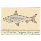 Whitefish Pâté