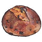 Chocolate Sourdough