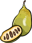Paw Paw Gelato